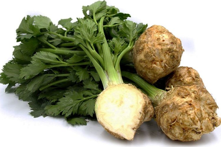 СО2 экстракт Сельдерея водорастворимый    